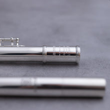 Load image into Gallery viewer, Haynes Amadeus 680SE