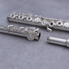 Load image into Gallery viewer, Haynes Amadeus 680SE