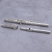 Load image into Gallery viewer, Haynes Amadeus 680SE