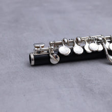 Lataa kuva Galleria-katseluun, August Richard Hammig Piccolo 40114/3/Str HKVR