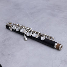 Lataa kuva Galleria-katseluun, August Richard Hammig Piccolo 40114/3/Str HKVR