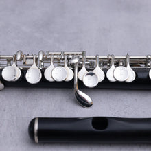 Lataa kuva Galleria-katseluun, Johannes Gerhard Hammig Piccolo 750/2/Str HKR