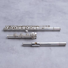 Load image into Gallery viewer, Käytetty Nagahara FC-950 RBEIH #1025