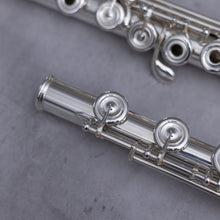 Load image into Gallery viewer, Brannen-Cooper Original Brögger Flute DT RBEO (Heavy Wall)
