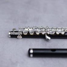 Lataa kuva Galleria-katseluun, Di Zhao 201 Piccolo