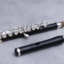 Lataa kuva Galleria-katseluun, Di Zhao 201 Piccolo