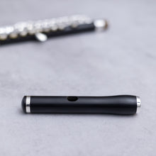 Lataa kuva Galleria-katseluun, Di Zhao 201 Piccolo