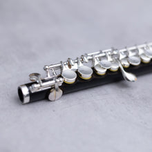 Lataa kuva Galleria-katseluun, Di Zhao 201 Piccolo