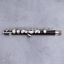 Lataa kuva Galleria-katseluun, Di Zhao 301 Piccolo