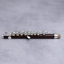 Lataa kuva Galleria-katseluun, Di Zhao 301 Piccolo