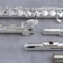 Load image into Gallery viewer, Di Zhao 100S Alto Flute