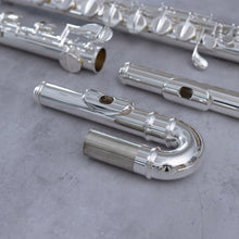 Load image into Gallery viewer, Di Zhao 100S Alto Flute