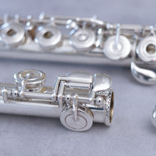 Lataa kuva Galleria-katseluun, Käytetty Trevor James Performers Series RCEO + Mike J Allen suukappale #P59239