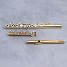 Load image into Gallery viewer, Pre-owned Di Zhao Schille 18K plated silver flute RBEO