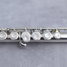Load image into Gallery viewer, Brannen Brothers - A/G - silver key extension