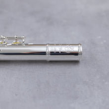 Load image into Gallery viewer, Di Zhao 200 Alto Flute