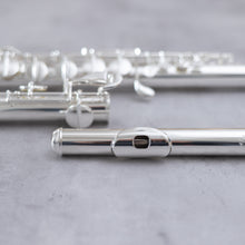 Load image into Gallery viewer, Di Zhao 200 Alto Flute
