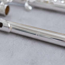 Load image into Gallery viewer, Di Zhao 200 Alto Flute