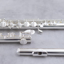 Load image into Gallery viewer, Di Zhao 200 Alto Flute