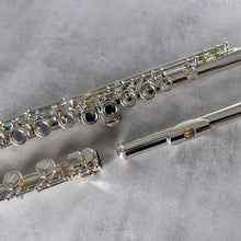 Load image into Gallery viewer, Powell Sonaré PS-101