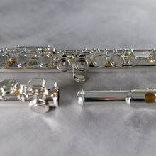 Load image into Gallery viewer, Powell Sonaré PS-101