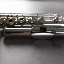 Load image into Gallery viewer, Haynes Custom Handmade ST RBEOHC#