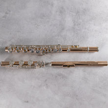 Load image into Gallery viewer, Powell Handmade 9K Aurumite Conservatory RBEO