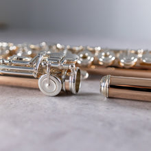 Load image into Gallery viewer, Powell Handmade 9K Aurumite Conservatory RBEO