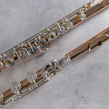 Load image into Gallery viewer, Powell Handmade 9K Aurumite Conservatory RBEO