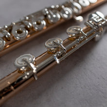 Load image into Gallery viewer, Powell Handmade 9K Aurumite Conservatory RBEO