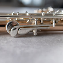 Load image into Gallery viewer, Powell Handmade 9K Aurumite Conservatory RBEO