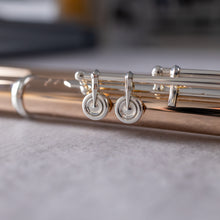 Load image into Gallery viewer, Powell Handmade 9K Aurumite Conservatory RBEO