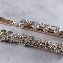 Load image into Gallery viewer, Powell Handmade 9K Aurumite Conservatory RBEO