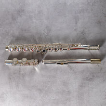 Load image into Gallery viewer, Powell Sonaré PS-101