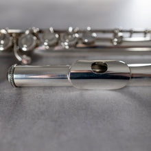 Load image into Gallery viewer, Pre-owned Haynes HMCH ST CCO #41638