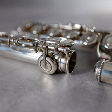 Load image into Gallery viewer, Pre-owned Haynes HMCH ST CCO #41638