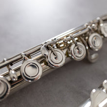 Load image into Gallery viewer, Pre-owned Haynes HMCH ST CCO #41638