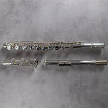 Lataa kuva Galleria-katseluun, Tomasi TFL-07SI