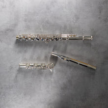 Load image into Gallery viewer, Di Zhao 501