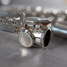 Load image into Gallery viewer, Di Zhao 501