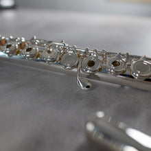 Load image into Gallery viewer, Di Zhao 501