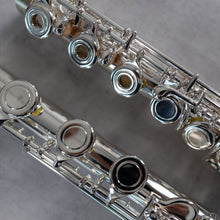 Load image into Gallery viewer, Di Zhao 501