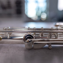 Load image into Gallery viewer, Di Zhao 501