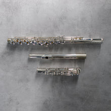 Load image into Gallery viewer, Di Zhao 601