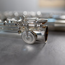 Load image into Gallery viewer, Di Zhao 601