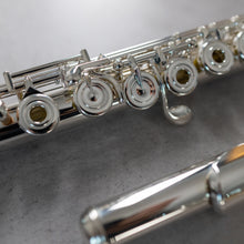 Load image into Gallery viewer, Di Zhao 601