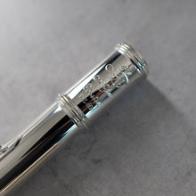 Load image into Gallery viewer, Di Zhao 601