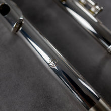 Load image into Gallery viewer, Di Zhao 601