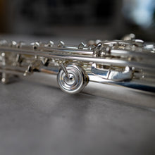 Load image into Gallery viewer, Di Zhao 601