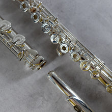 Load image into Gallery viewer, Di Zhao 601